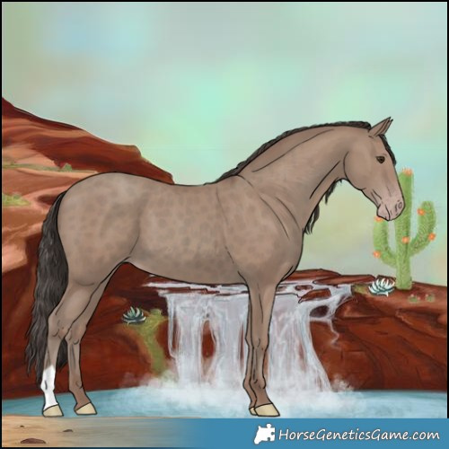 Horse Color:Classic Champagne
