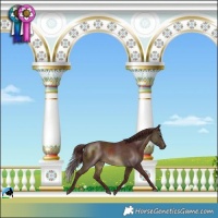 Horse Color:Chocolate Buckskin Mushroom Rabicano