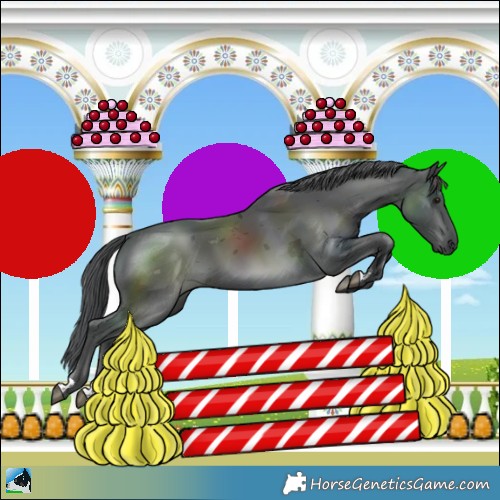 Horse Color:Black Mushroom Merle 