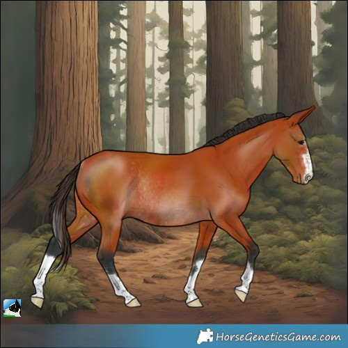 Horse Color:Bay Rabicano 