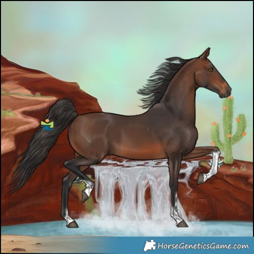 Horse Color:Brown Tobiano
