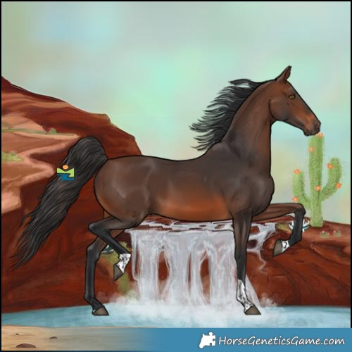 Horse Color:Brown Tobiano Rabicano 