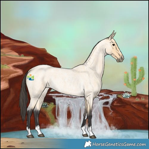 Horse Color:Buckskin Roan 