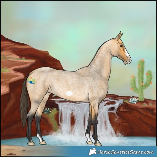 Horse Color:Buckskin Roan Splash Frame 