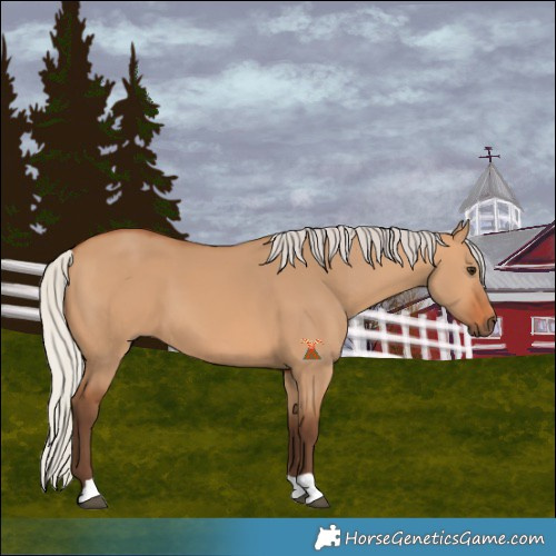 Horse Color:Silver Bay Dun 