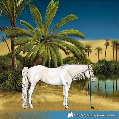 Horse Color:Cremello Dun Tobiano Frame