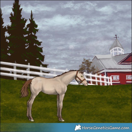 Horse Color:Amber Champagne Dun Varnish 