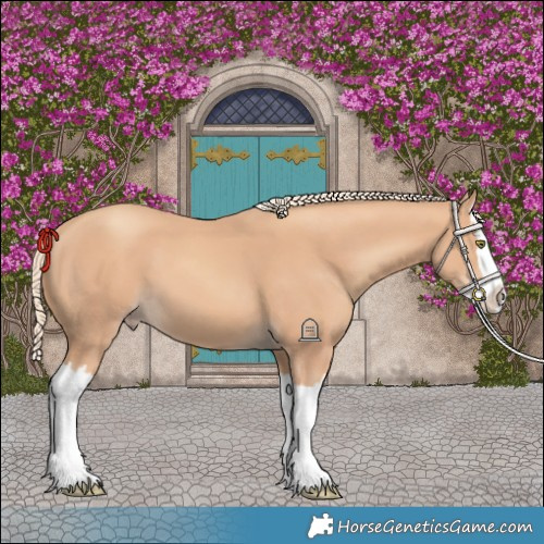 Horse Color:Gold Champagne Splash 