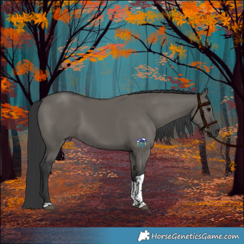 Horse Color:Grullo Tobiano 