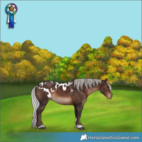 Horse Color:Silver Brown Tobiano Skewed LP Spotted Rabicano