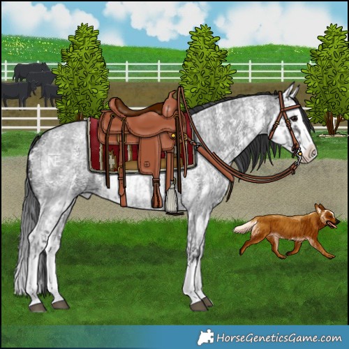 Horse Color:Blue Roan Sabino Splash  and Blue Roan Sabino Splash 
