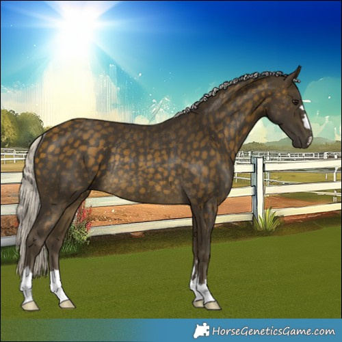 Horse Color:Silver Buckskin Rabicano 