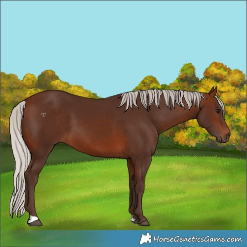 Horse Color:Silver Brown