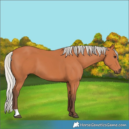 Horse Color:Silver Bay