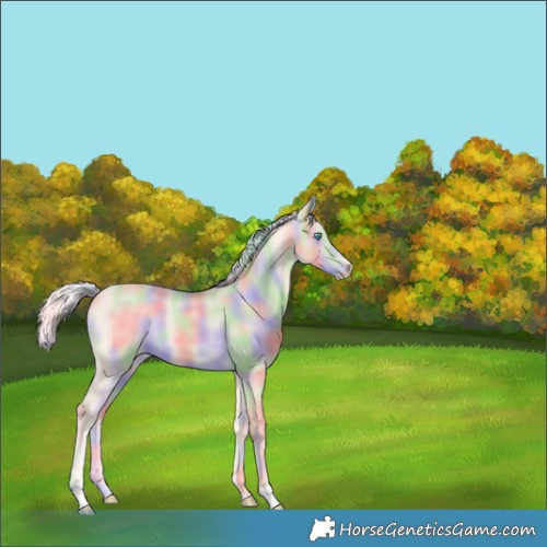 Horse Color:Nacre Cremello 