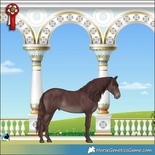 Horse Color:Chocolate Black Varnish