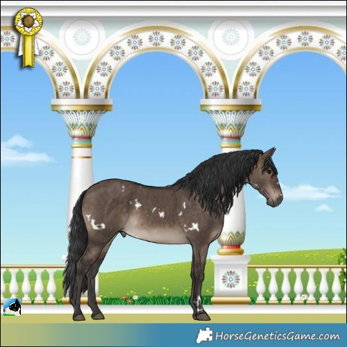 Horse Color:White Spotted Brown Dun Brindle 