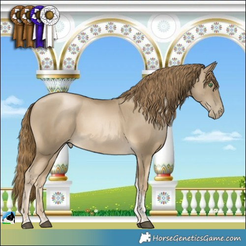 Horse Color:Black Snowdrop Tobiano