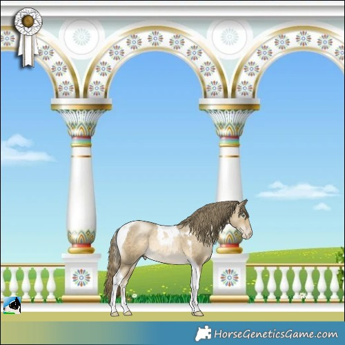 Horse Color:Smoky Black Pearl Mushroom Tobiano Rabicano