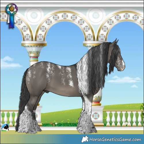 Horse Color:Powder White Grullo Tobiano 