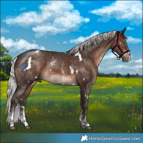 Horse Color:White Spotted Silver Brown Mushroom Sabino 