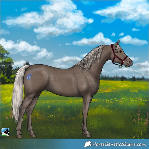 Horse Color:Silver Black 
