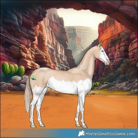 Horse Color:Smoky Black Pearl Splash 