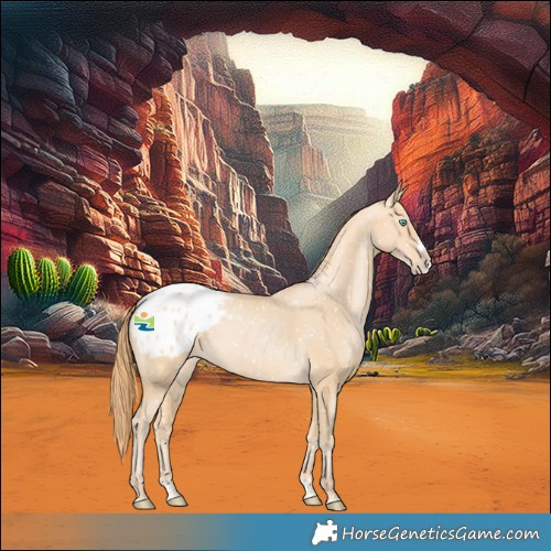 Horse Color:Buckskin Pearl Splash Blanket