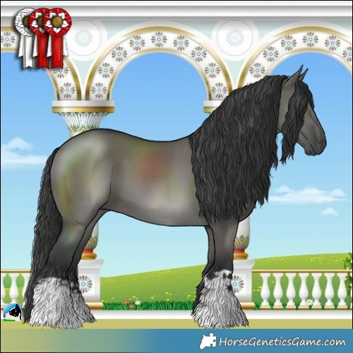 Horse Color:Grullo 