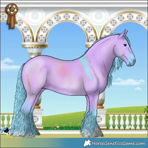 Horse Color:Watercolor Grullo