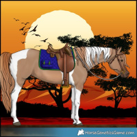 Horse Color:Red Dun Tobiano 