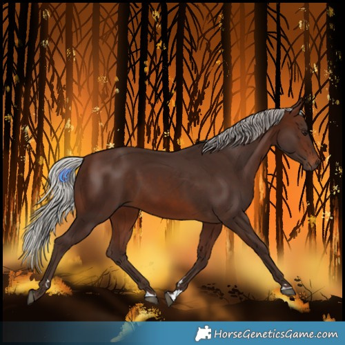 Horse Color:Silver Brown