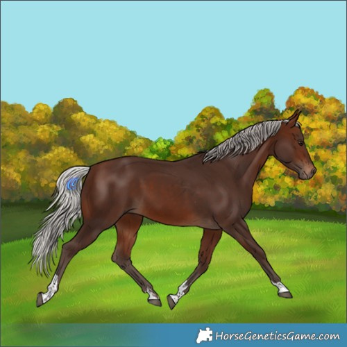 Horse Color:Silver Brown Tobiano 