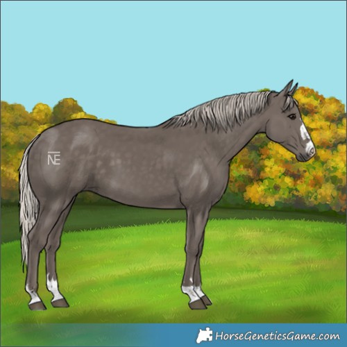 Horse Color:Silver Black 