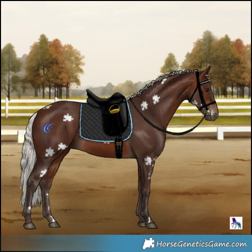 Horse Color:Silver Brown 