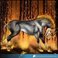 Horse Color:Gray Black 