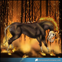 Horse Color:Gray Chestnut Rabicano