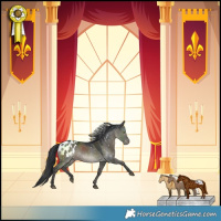 Horse Color:Grullo Mushroom Blanket Rabicano 