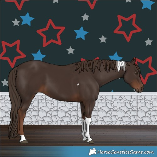 Horse Color:Liver Chestnut Tobiano 
