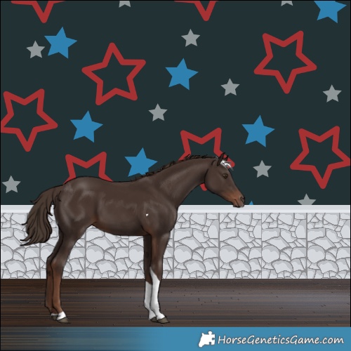 Horse Color:Liver Chestnut Tobiano 