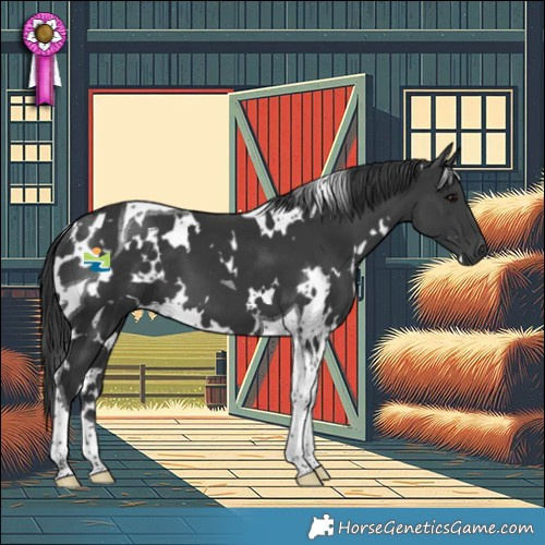 Horse Color:White Spotted Black Tobiano