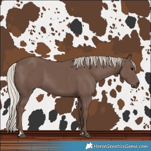 Horse Color:Silver Black