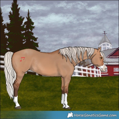 Horse Color:Silver Bay Dun Splash Rabicano