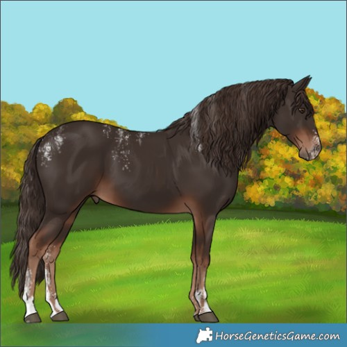 Horse Color:Powder White Liver Chestnut