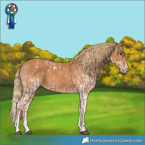 Horse Color:Powder White Chestnut  and White Spotted Chestnut 