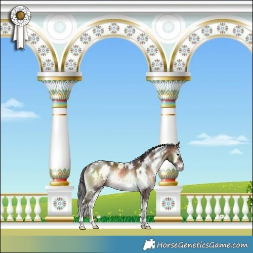 Horse Color:White Spotted Brown Onyx Rabicano 