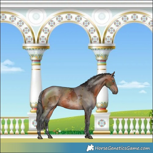 Horse Color:Bay Merle 