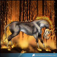 Horse Color:Gray Chestnut 