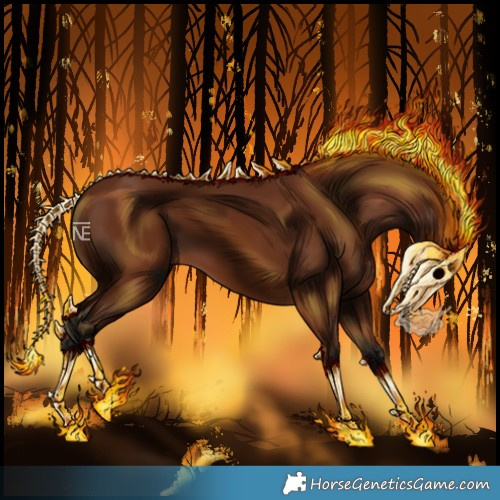 Horse Color:Gray Bay 