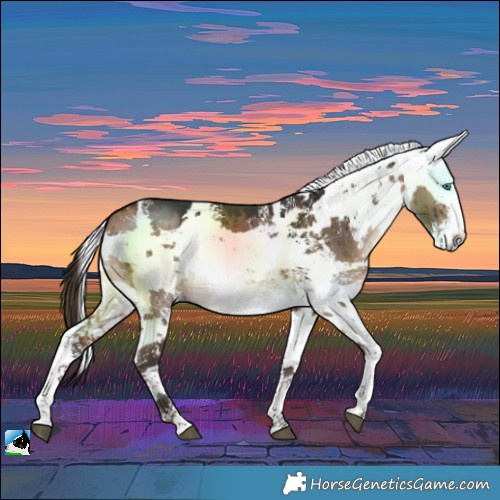 Horse Color:Bay Dun Harlequin Merle Sabino Brindle 